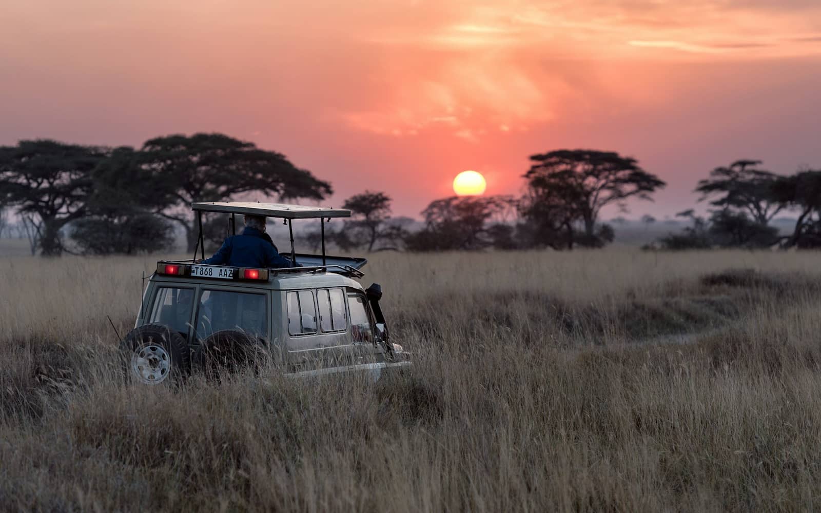 Fahamu Safaris